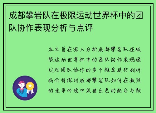 成都攀岩队在极限运动世界杯中的团队协作表现分析与点评